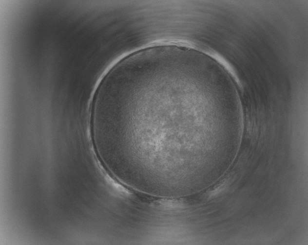 X0000073411102200608040952