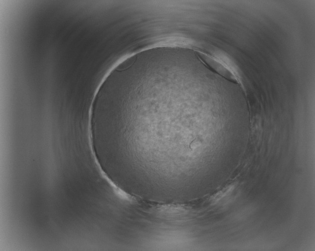 X0000073411103200608040952