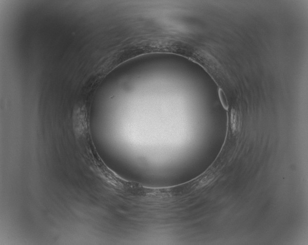 X0000073411107200608040951