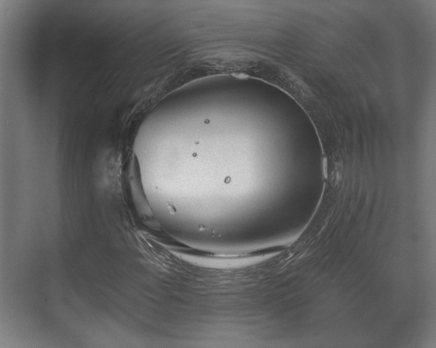 X0000073411108200608040951