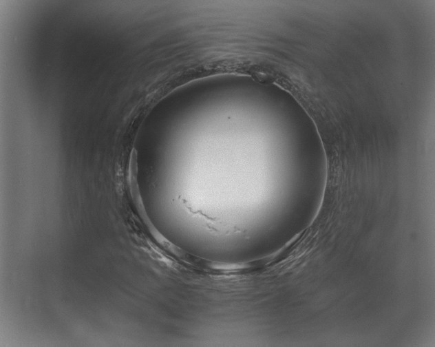 X0000073411109200608040951