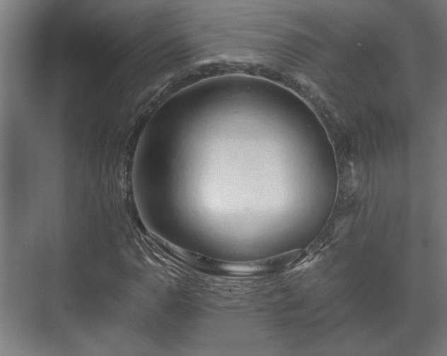 X0000073411110200608040951