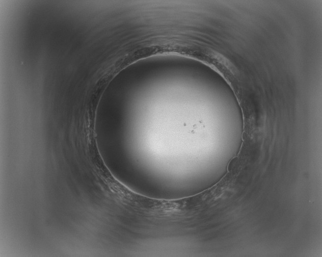 X0000073411111200608040951