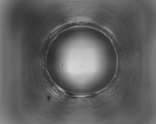 X0000073411112200608040951