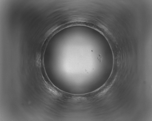 X0000073411113200608040951