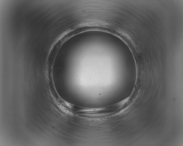 X0000073411114200608040951