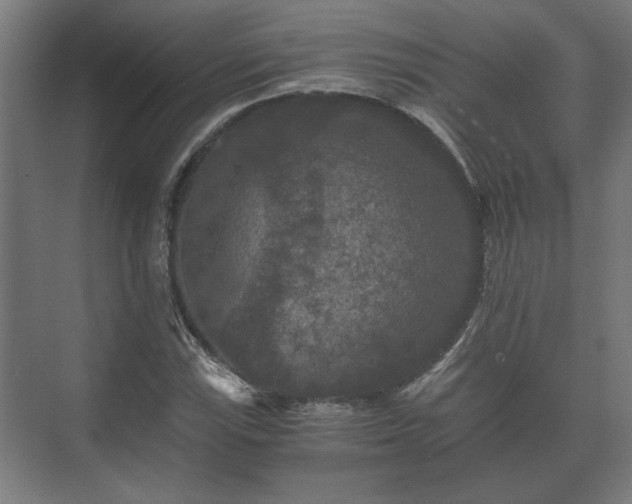 X0000073411115200608040951