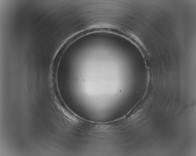 X0000073411116200608040951