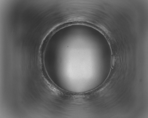 X0000073411118200608040951