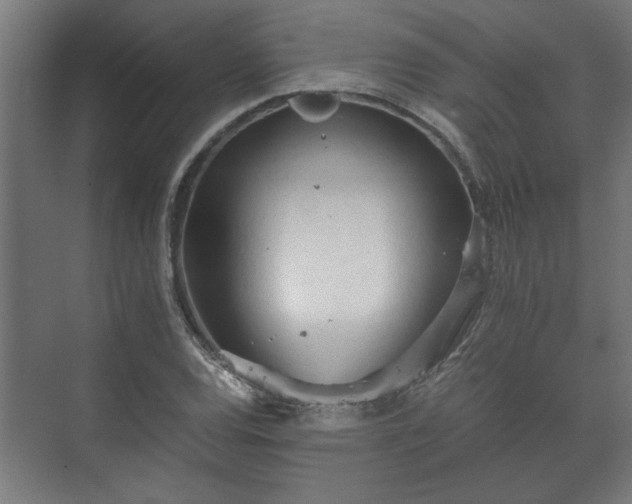 X0000073411120200608040951