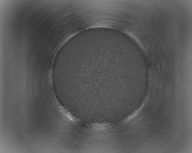 X0000073411121200608040951