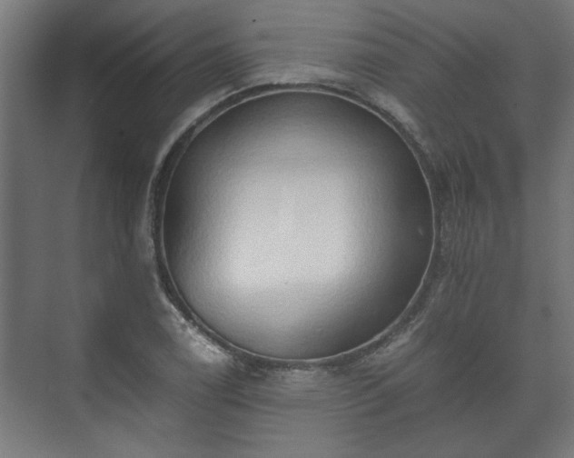 X0000073411122200608040951