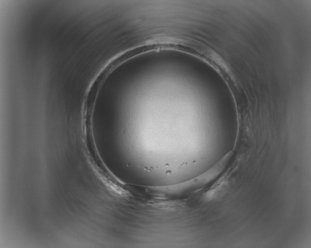 X0000073411124200608040951