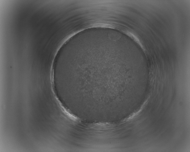 X0000073411125200608040951