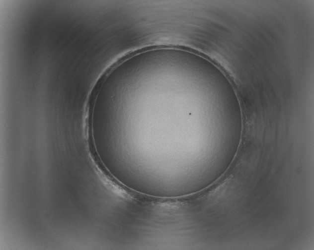 X0000073411126200608040951