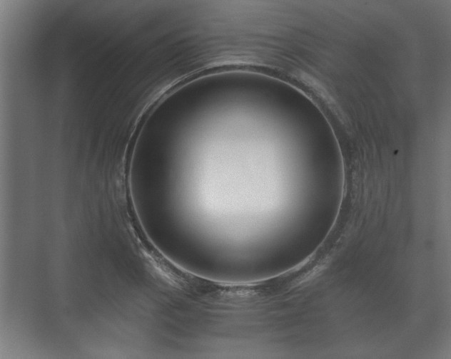 X0000073411129200608040951