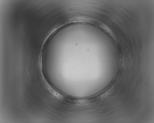 X0000073411130200608040951