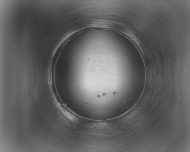 X0000073411131200608040951