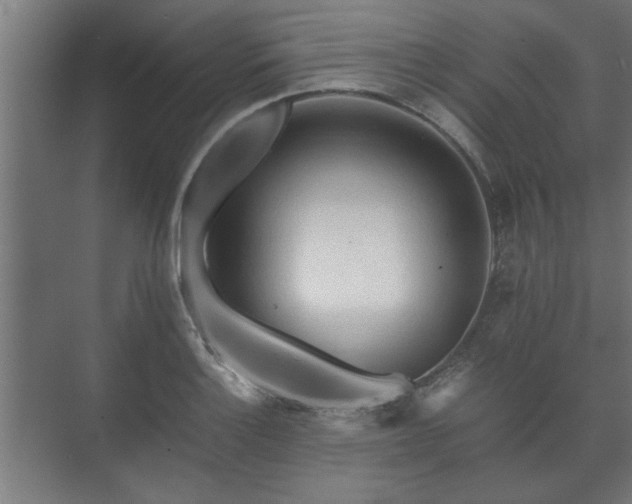 X0000073411132200608040951