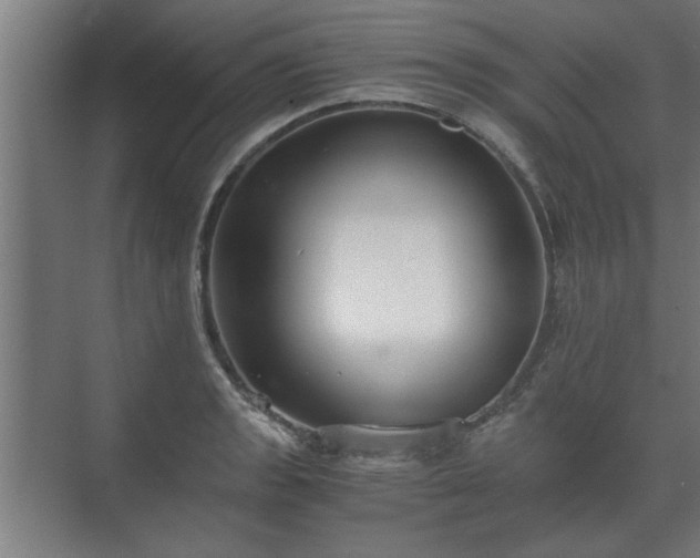 X0000073411133200608040951