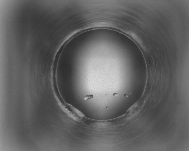 X0000073411134200608040951