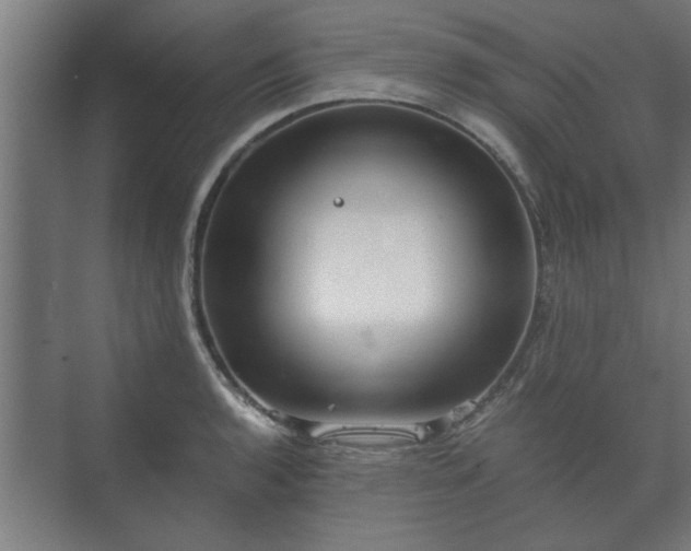 X0000073411136200608040951