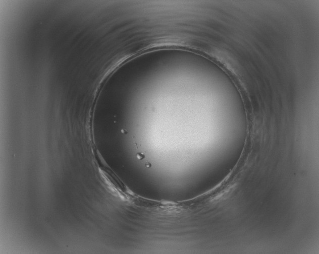 X0000073411137200608040951