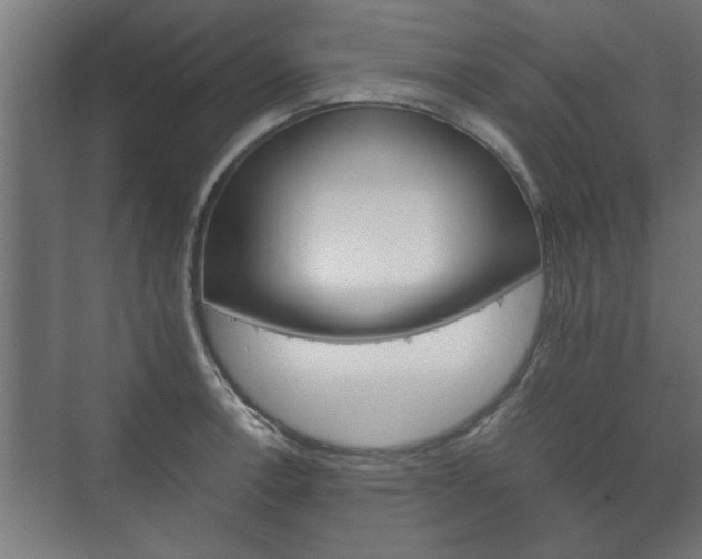 X0000073411138200608040951