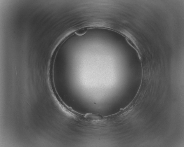 X0000073411139200608040951