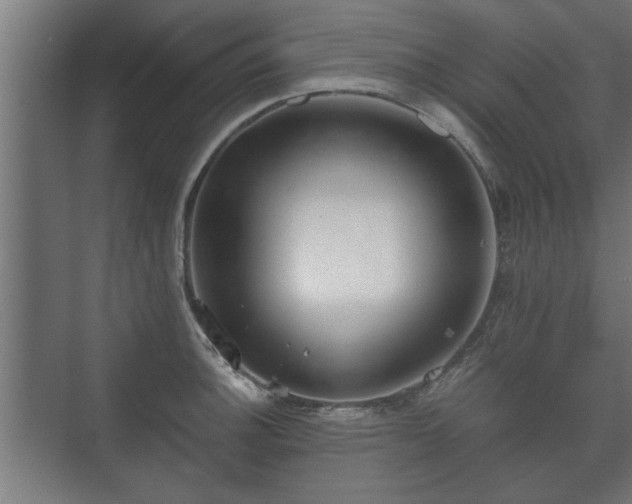 X0000073411140200608040951