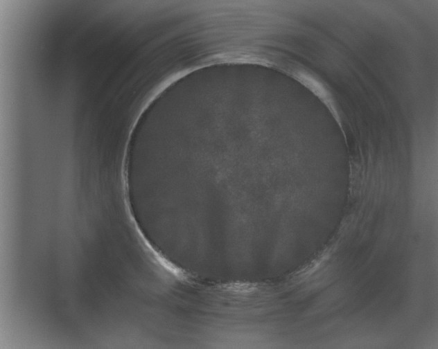 X0000073411141200608040952