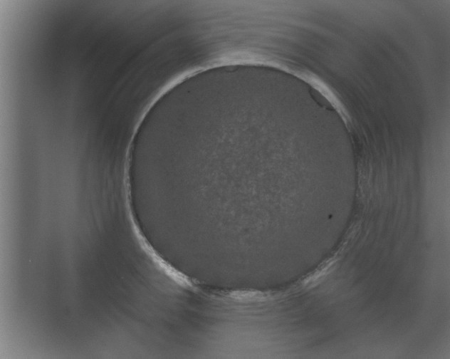 X0000073411142200608040952