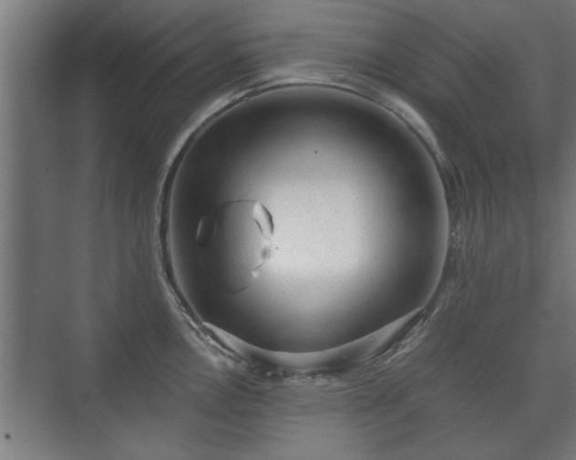 X0000073411146200608040952