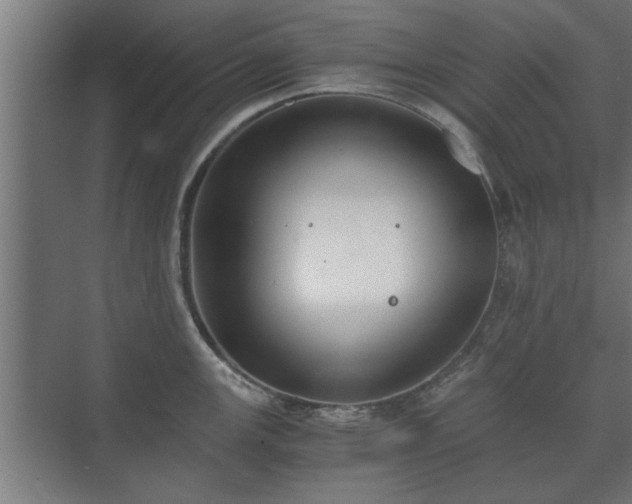 X0000073411147200608040952