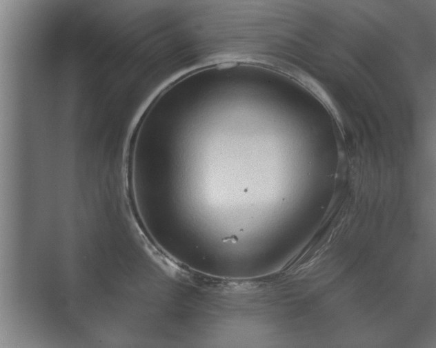 X0000073411148200608040952