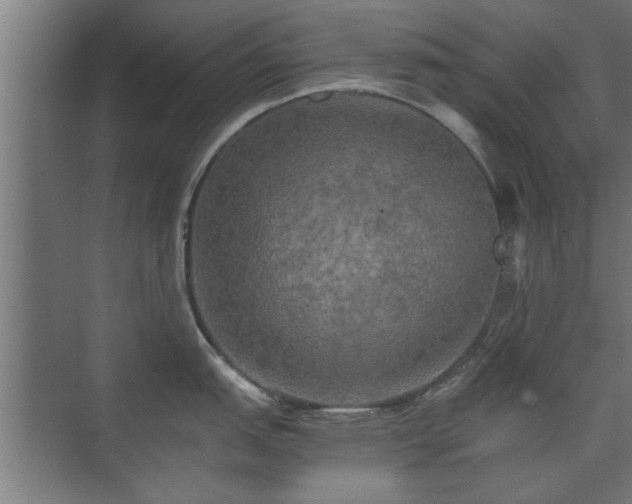 X0000073411151200608040952