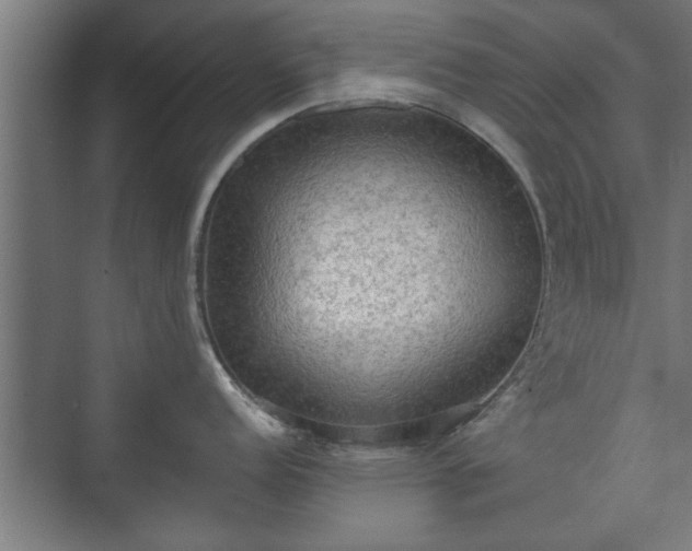 X0000073411152200608040952