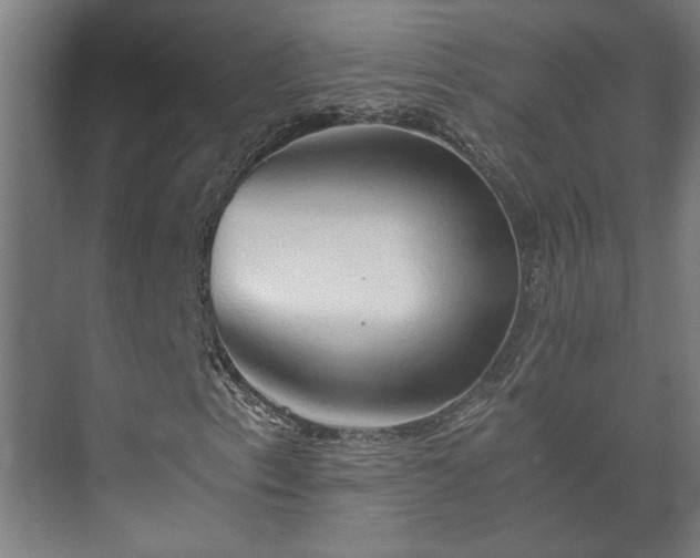 X0000073411153200608040951