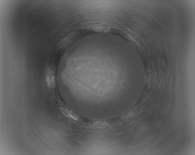 X0000073411154200608040951