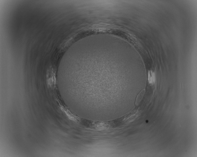 X0000073411155200608040951