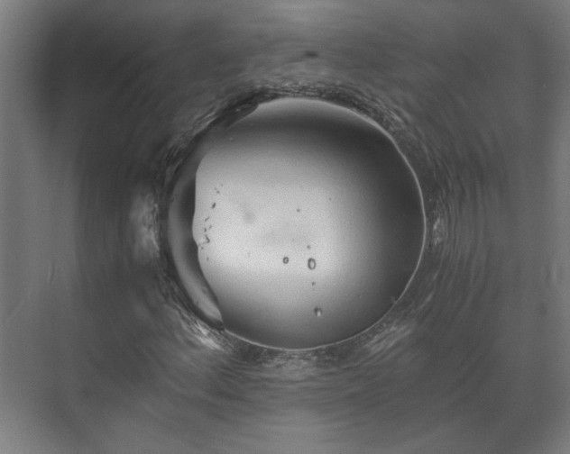 X0000073411156200608040951