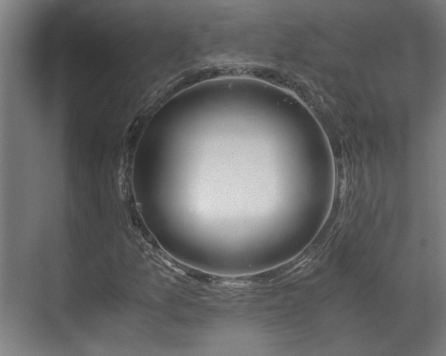 X0000073411157200608040951