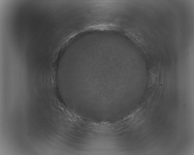 X0000073411158200608040951