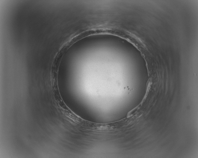 X0000073411160200608040951