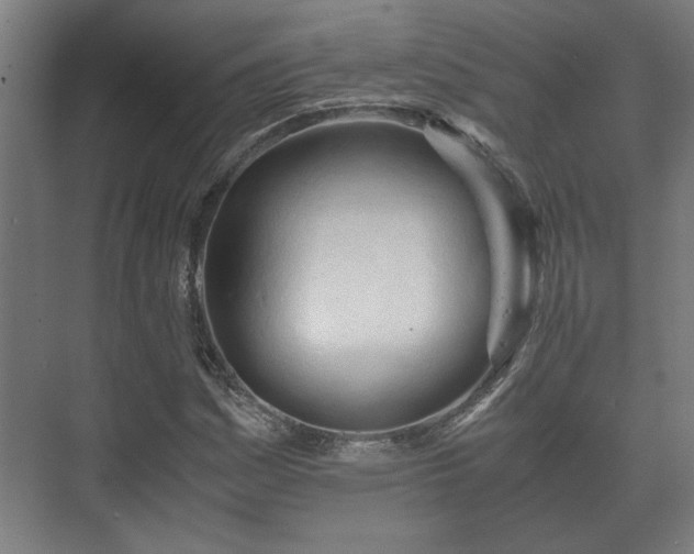 X0000073411161200608040951