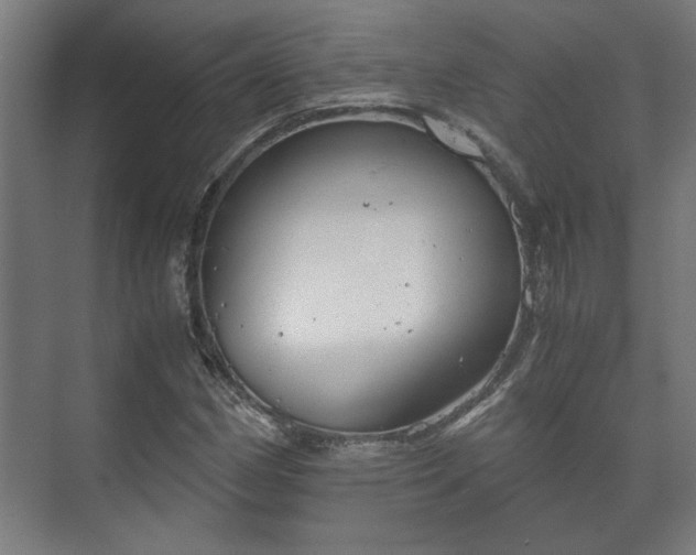 X0000073411162200608040951