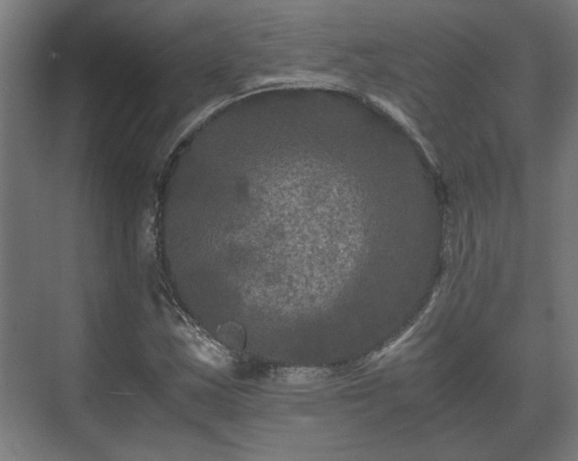 X0000073411163200608040951