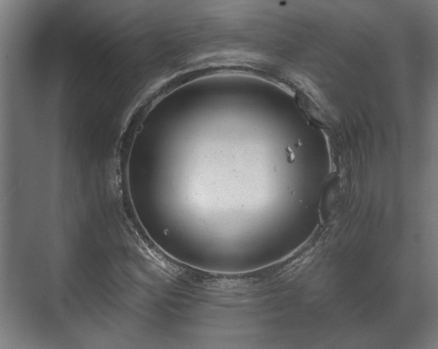 X0000073411164200608040951