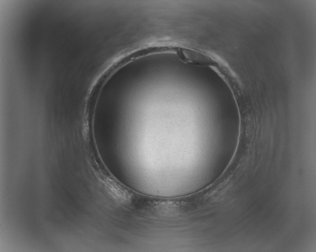 X0000073411167200608040951