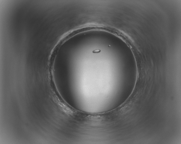 X0000073411168200608040951